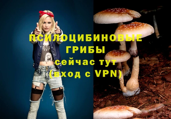 стафф Арсеньев