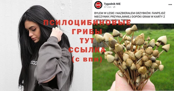 дмт Армянск