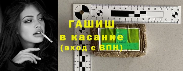 стафф Арсеньев