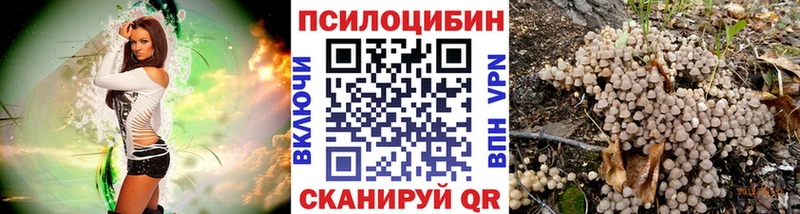 ОМГ ОМГ ССЫЛКА  Лодейное Поле  Галлюциногенные грибы MAGIC MUSHROOMS 