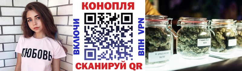 Бошки Шишки семена  наркота  Лодейное Поле 